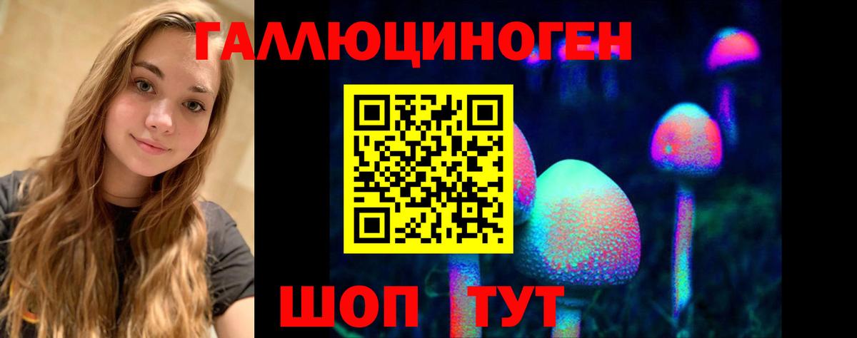 Псилоцибиновые грибы GOLDEN TEACHER Оренбург